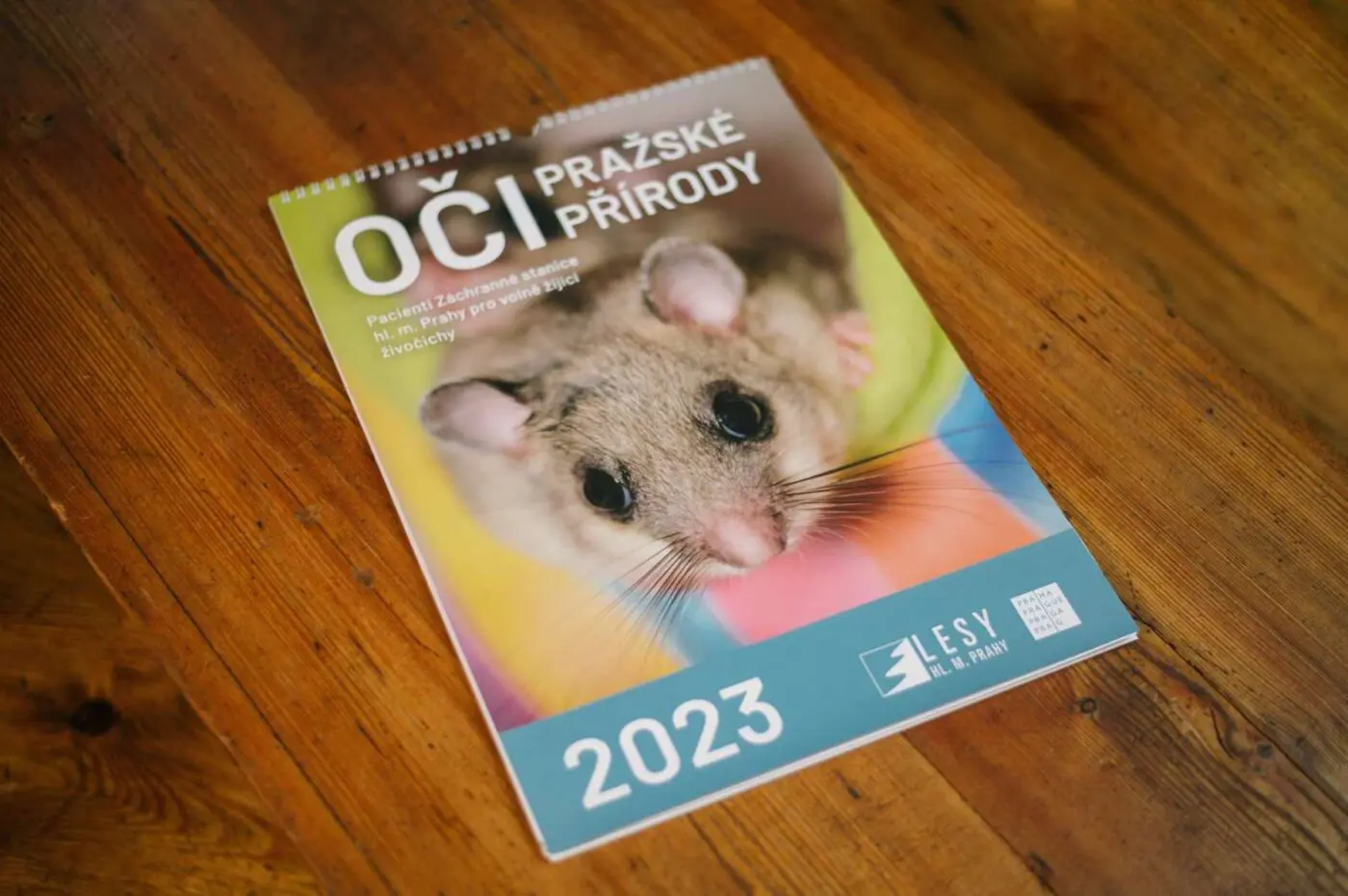 Charitativní kalendář Oči pražské přírody 2023